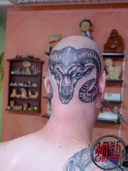 snake-tattoo-atelier_112