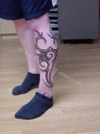 snake-tattoo-atelier_092