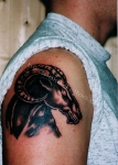 snake-tattoo-atelier_184